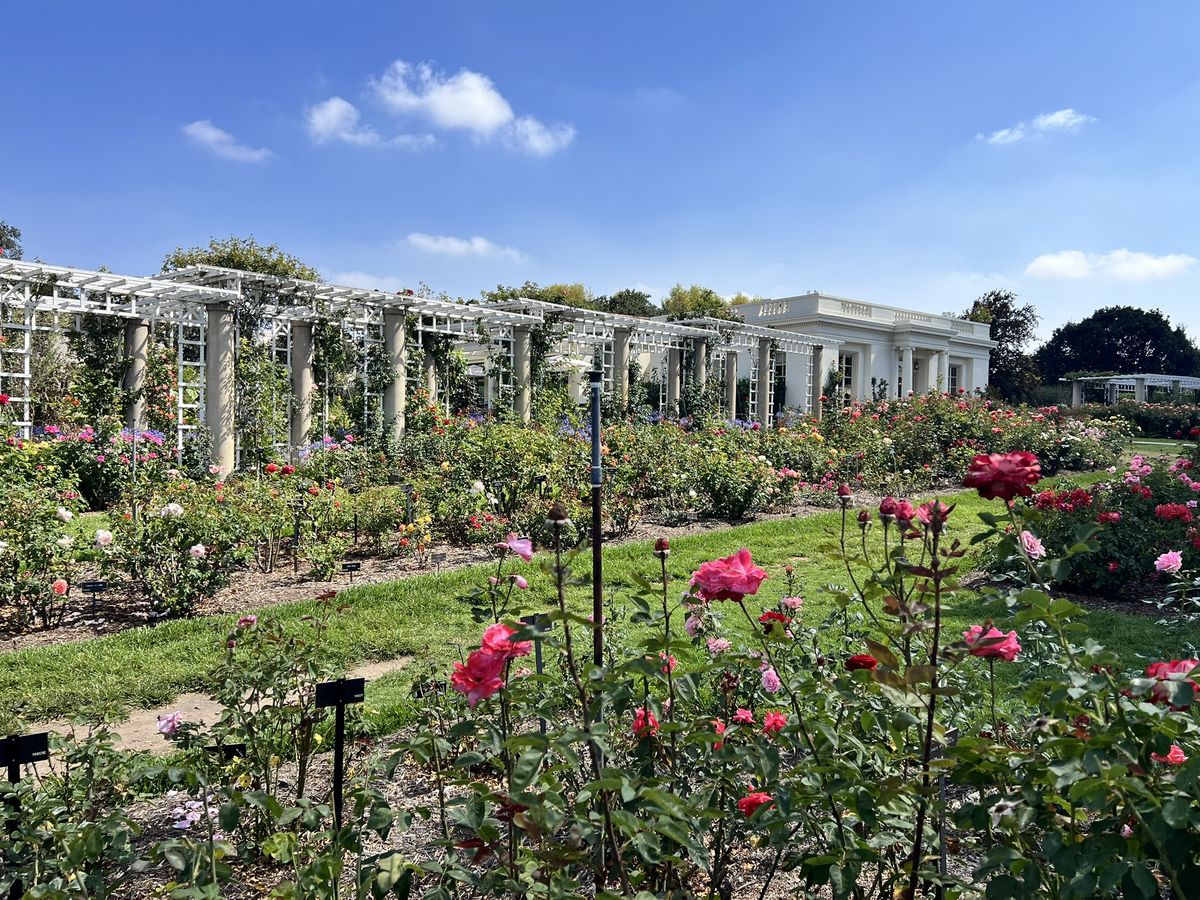 Huntington Library and Gardens